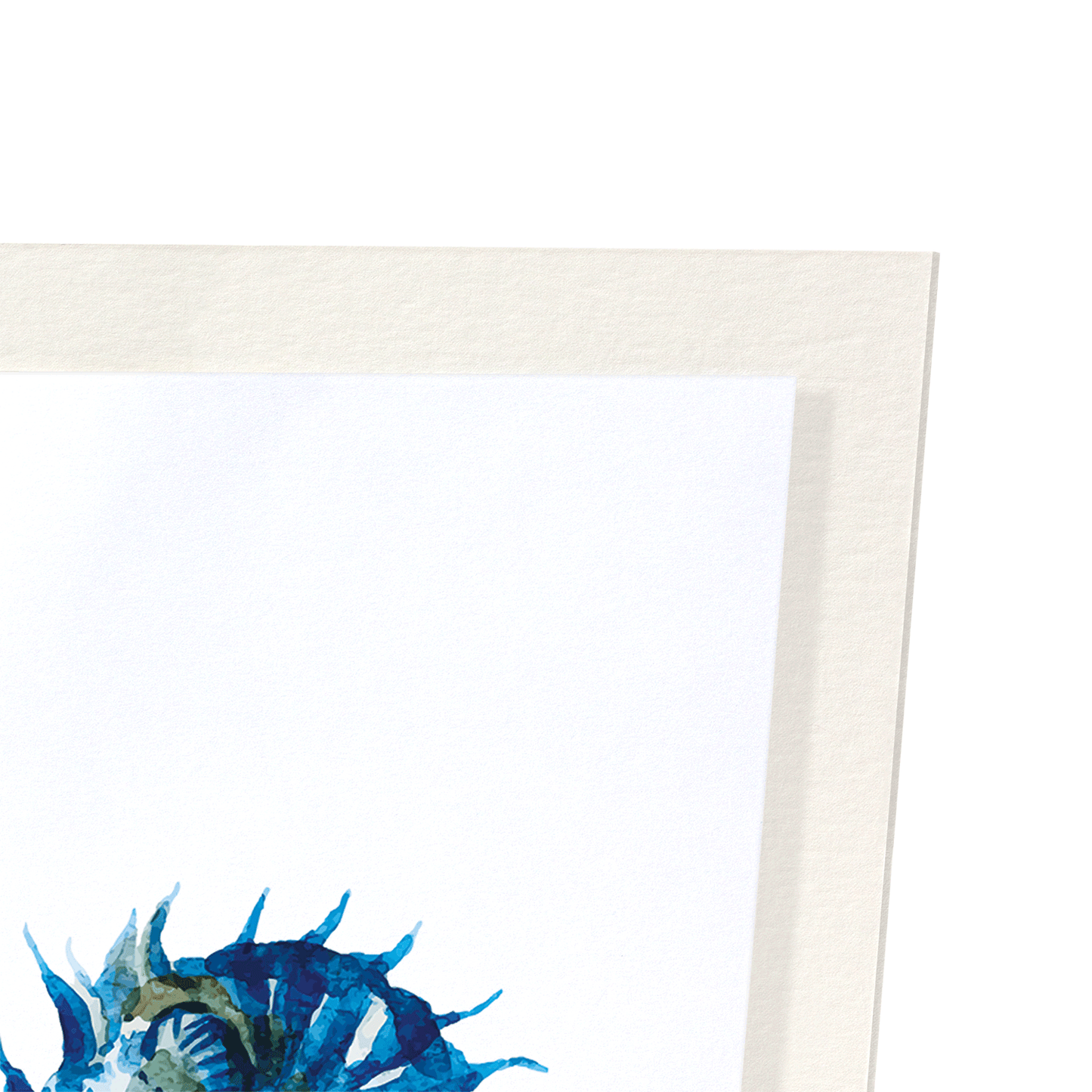 SEAHORSES: Watercolour Art Print