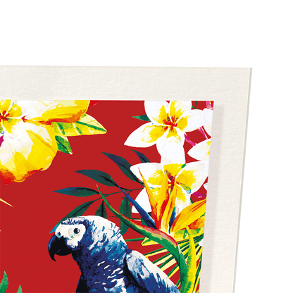 PARROT MESSENGER: Painting Art Print