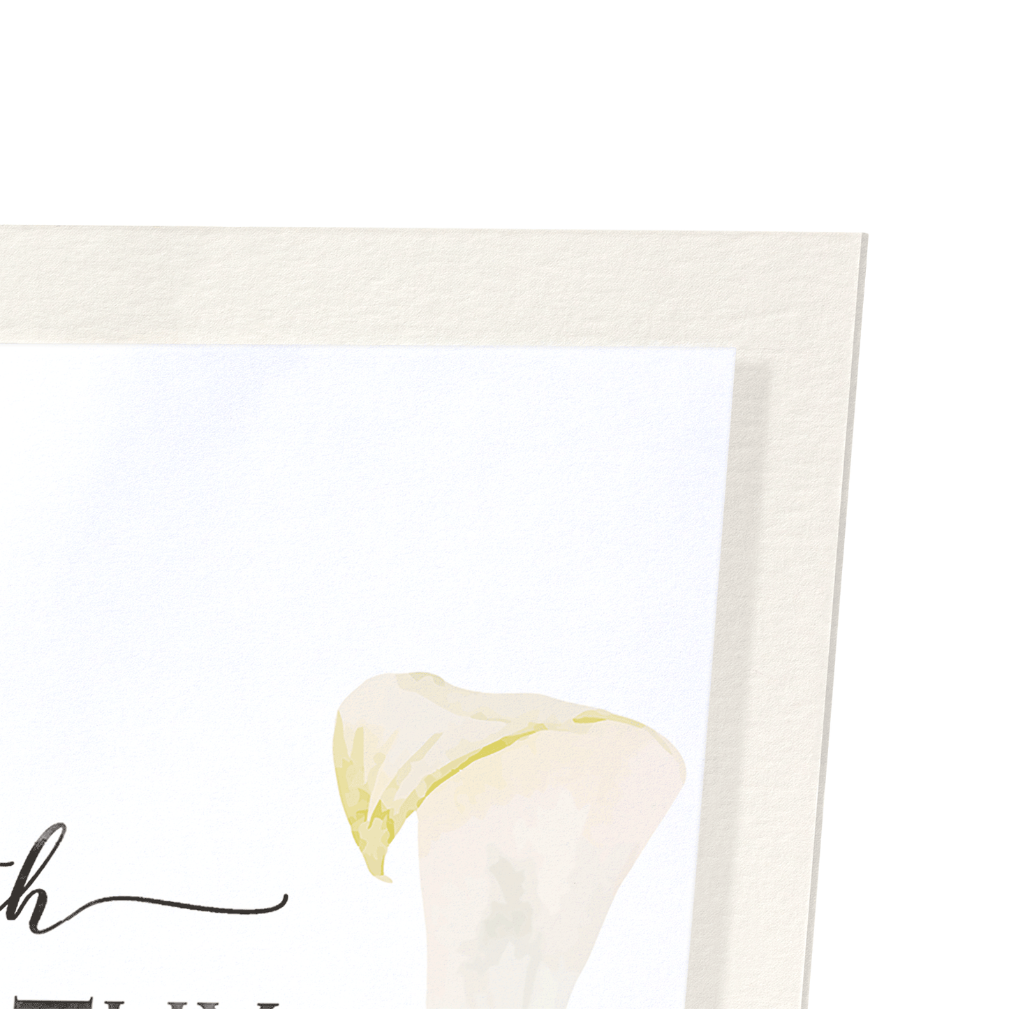 CALLA LILY OF SYMPATHY: Watercolour Art Print