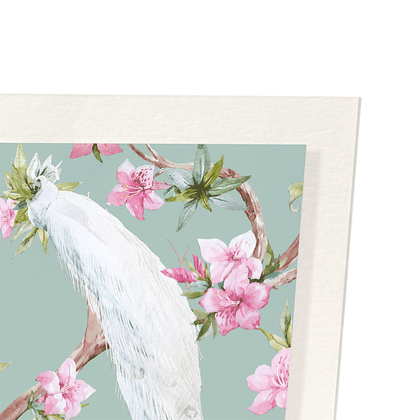 WHITE PEACOCKS: Pattern Art Print
