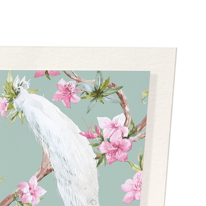 WHITE PEACOCKS: Pattern Art Print