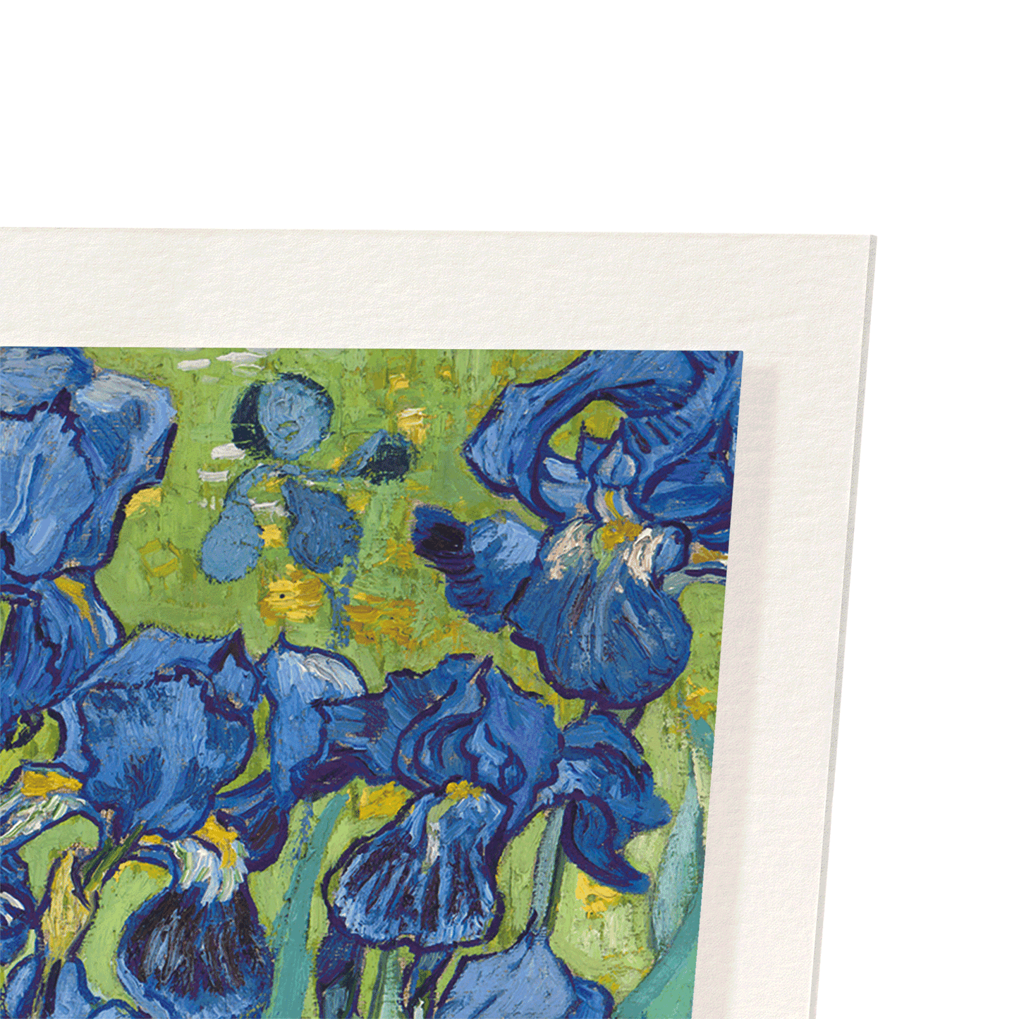 IRISES BY VAN GOGH: Painting Art Print