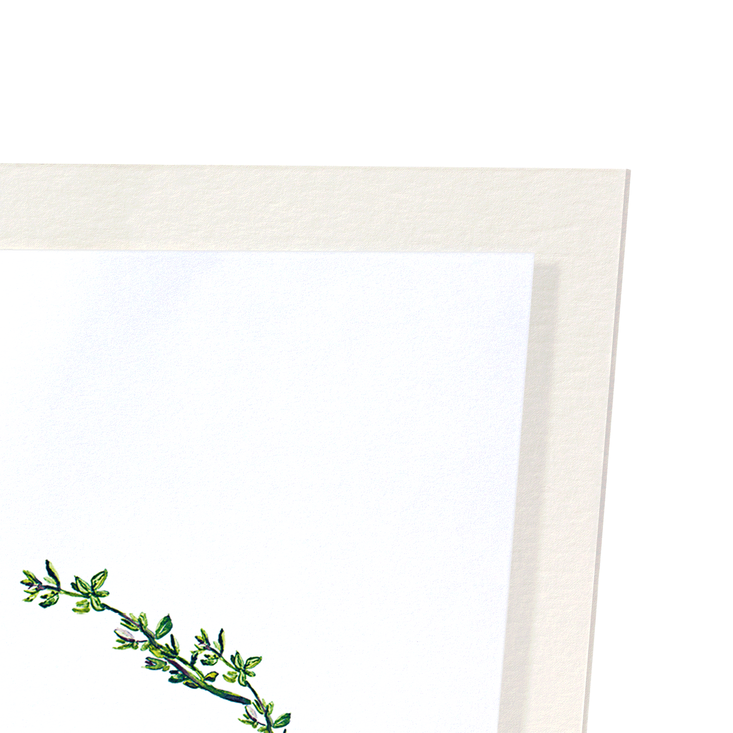 SPEND THYME WITH YOU: Watercolour Art Print