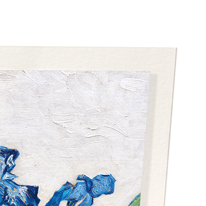 IRISES (1890) BY VAN GOGH: Painting Art Print