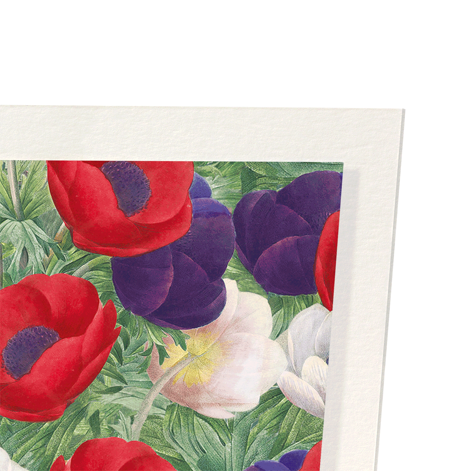 ANEMONE: Painting Art Print