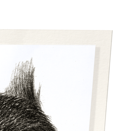 CURLED UP SLEEPING CAT (1825): Painting Art Print