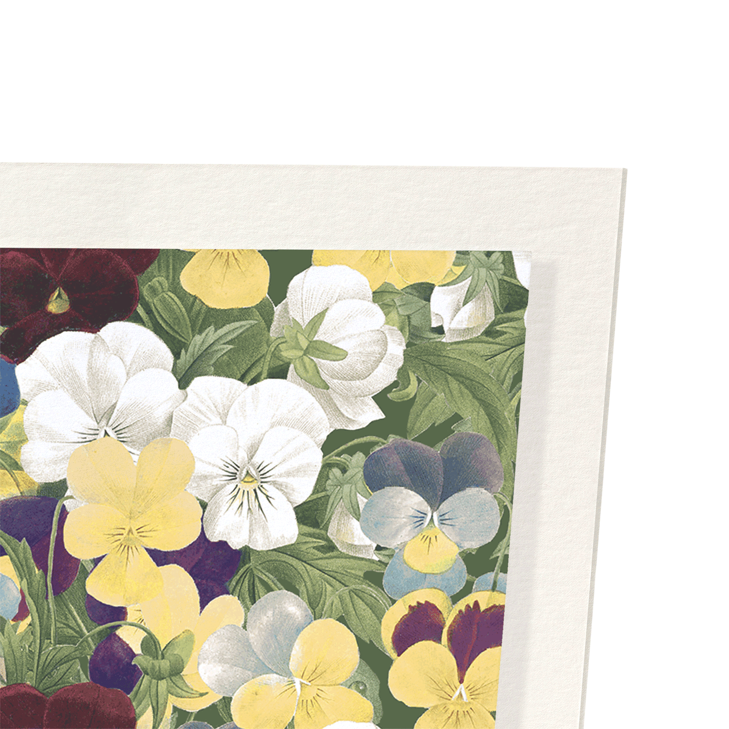 PANSIES: Pattern Art Print