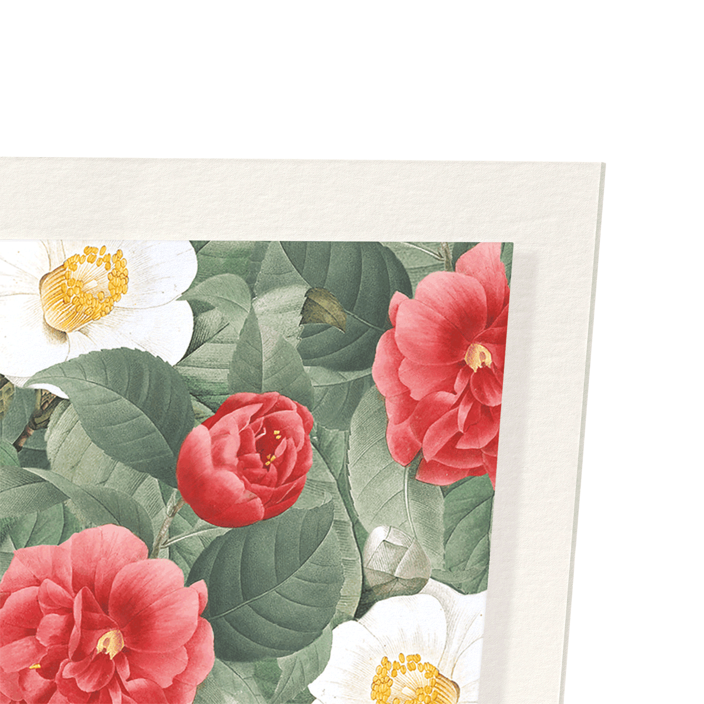 CAMELLIA JAPONICA: Pattern Art Print