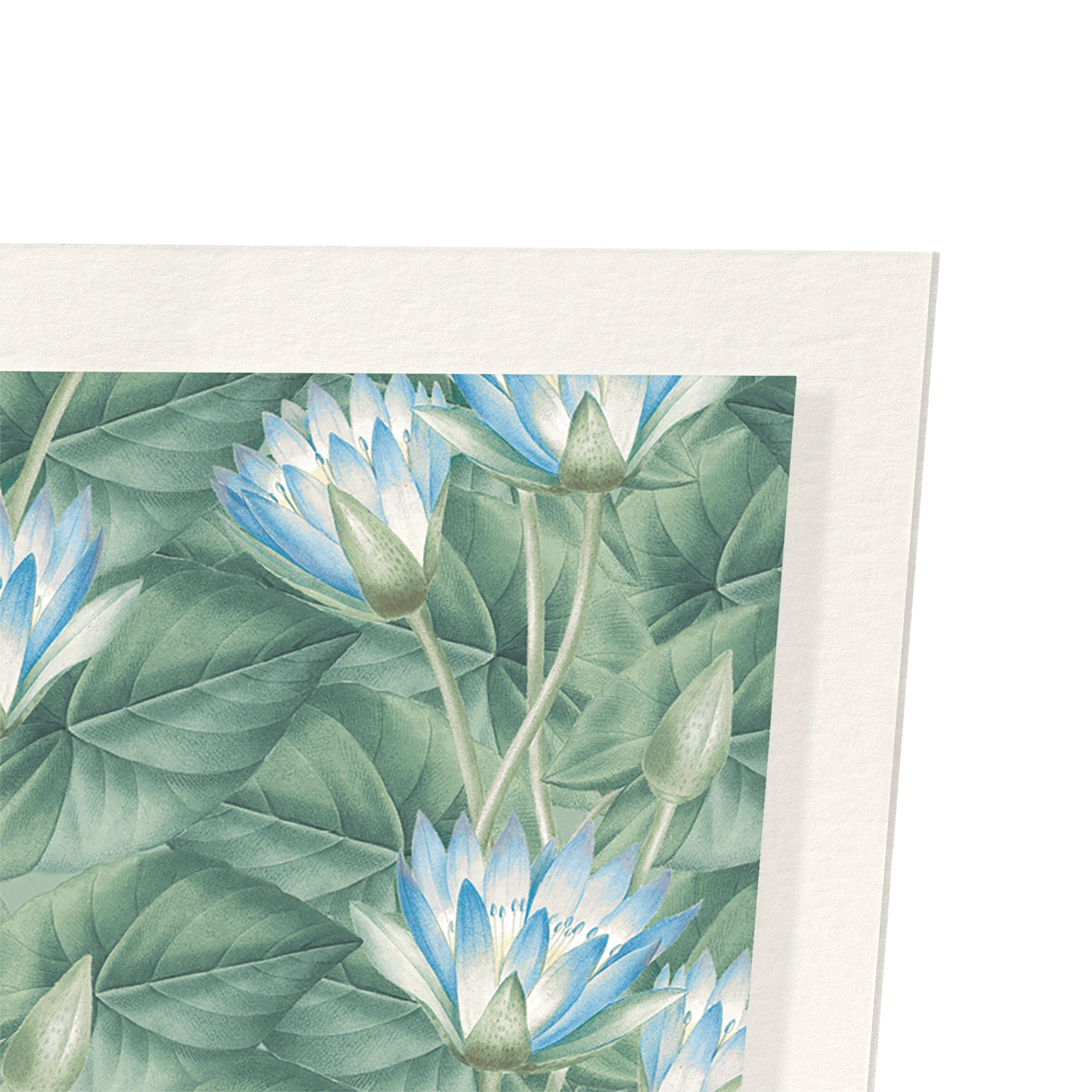 NYMPHAEA COERULEA: Pattern Art Print