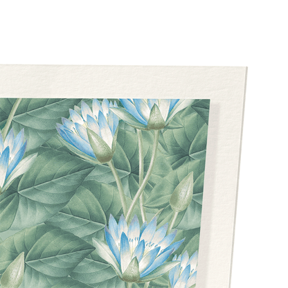 NYMPHAEA COERULEA: Pattern Art Print