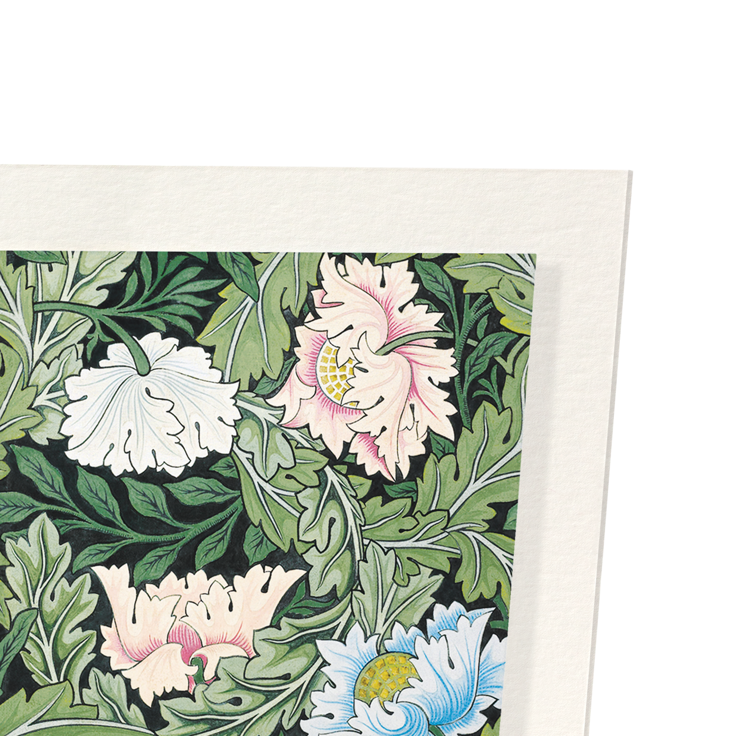 POPPIES AND ACANTHUS FLOWERS (1860): Pattern Art Print