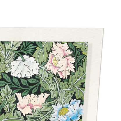 POPPIES AND ACANTHUS FLOWERS (1860): Pattern Art Print