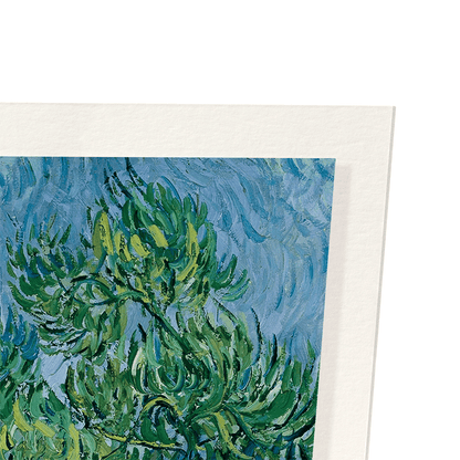OLIVE GROVE (1889): Painting Art Print