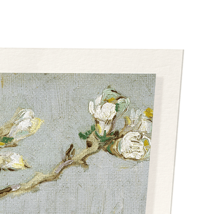 SPRIG OF FLOWERING ALMOND IN A GLASS (1888): Painting Art Print