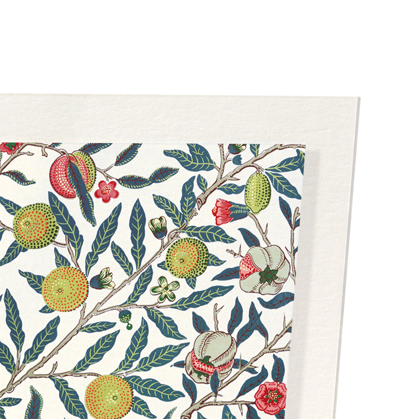 POMEGRANATE FRUIT (C.1866) : Pattern Art Print