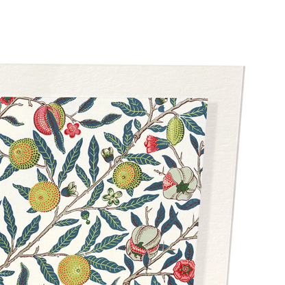 POMEGRANATE FRUIT (C.1866) : Pattern Art Print