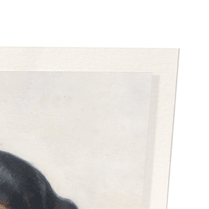 YOUNG DACHSHUND: Painting Art Print