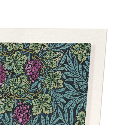 VINE (1874): Pattern Art Print