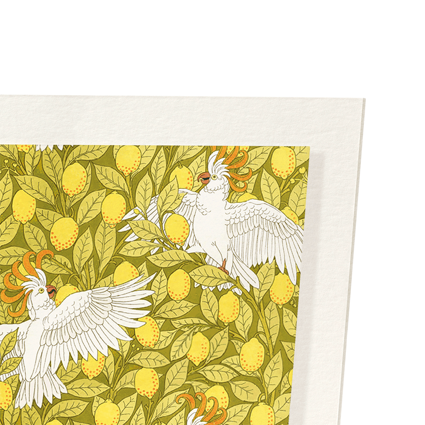 COCKATOO AND LEMONS (1897) : Pattern Art Print