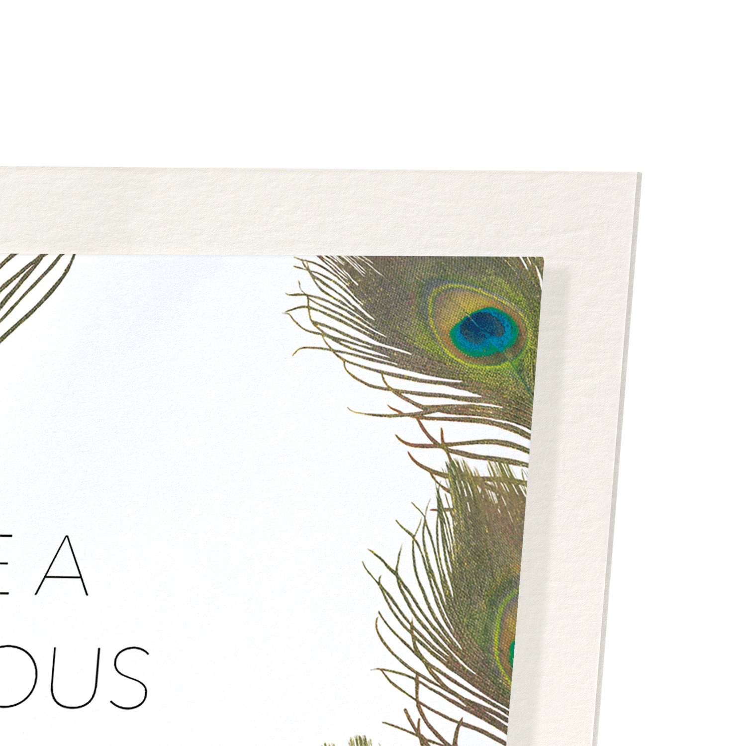 FABULOUS PEACOCK BIRTHDAY: Painting Art Print