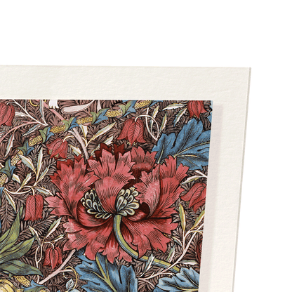 HONEYSUCKLE (1874): Pattern Art Print