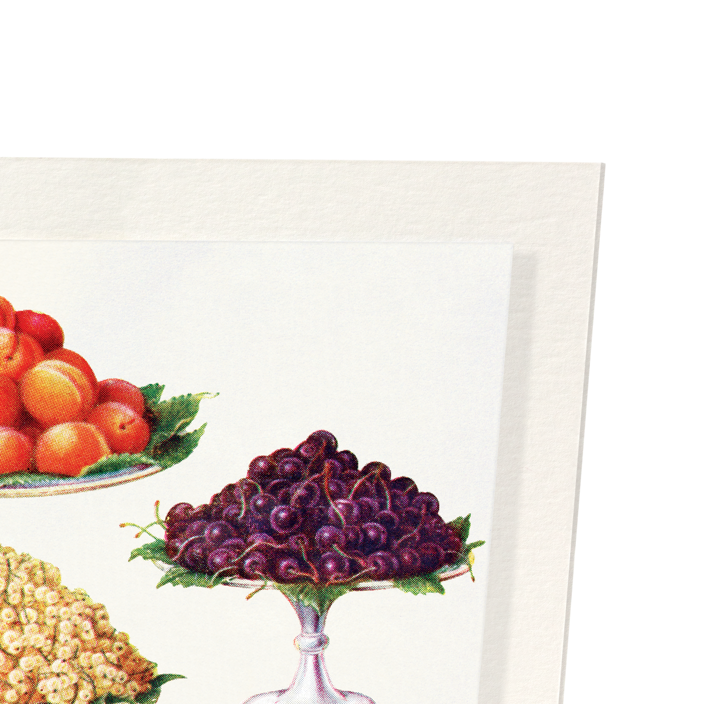 DESSERT FRUIT NO.1 (1923): Painting Art Print