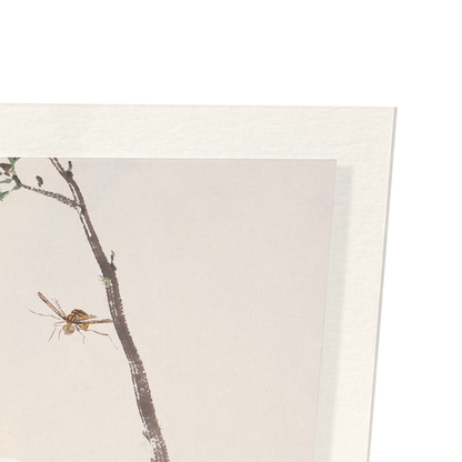 INSECTS AND FLOWERS (1865): Painting Art Print