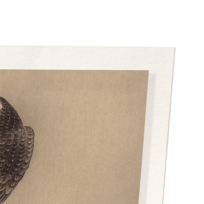 EAGLE AND PINE TREE: Japanese Art Print