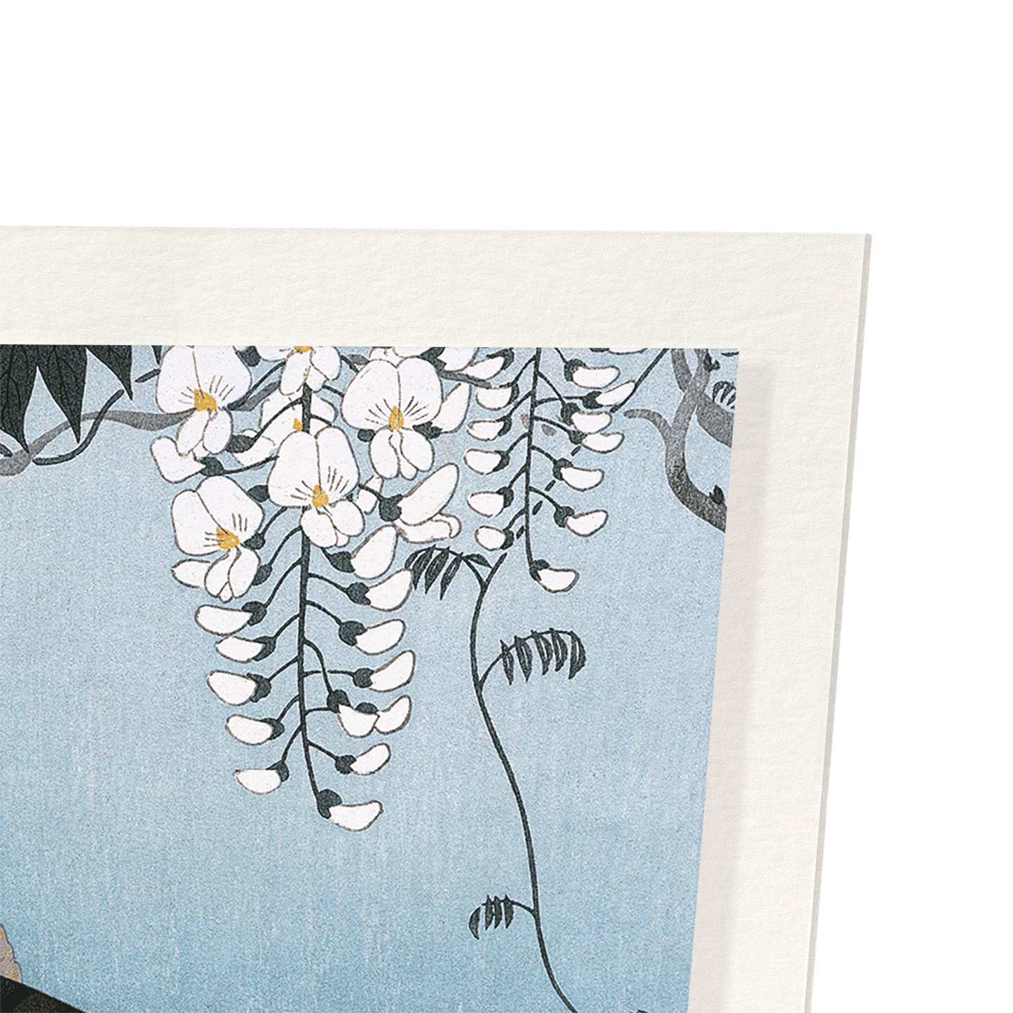 CARP AND WISTERIA: Japanese Art Print