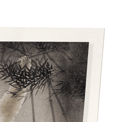 MONKEY AND BAMBOO: Japanese Art Print