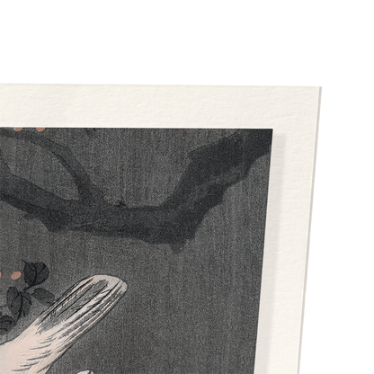 WAXWING BIRDS: Japanese Art Print