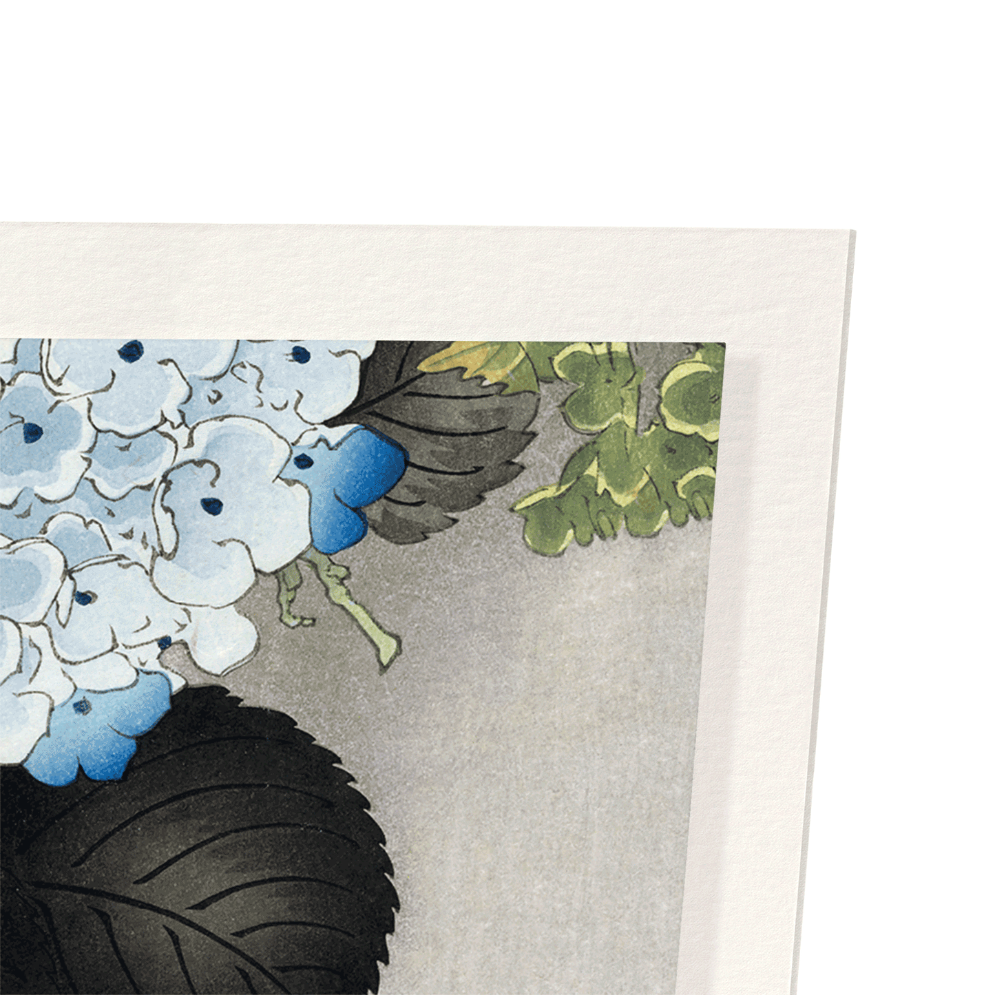 SPARROW AND HORTENSIA: Japanese Art Print