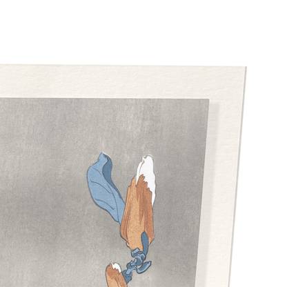 BIRD ON MAGNOLIA: Japanese Art Print