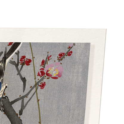 BULLFINCH BIRD: Japanese Art Print