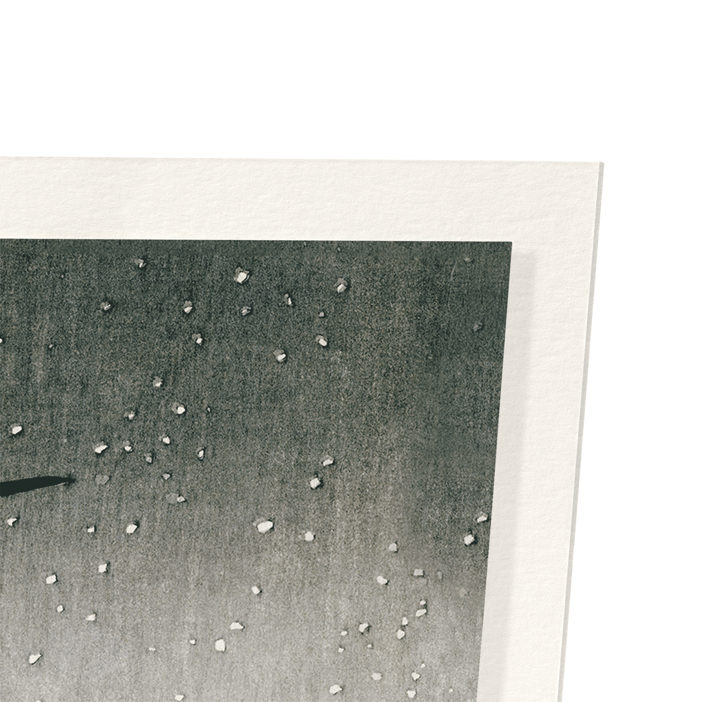 HERONS IN THE WINTER: Japanese Art Print