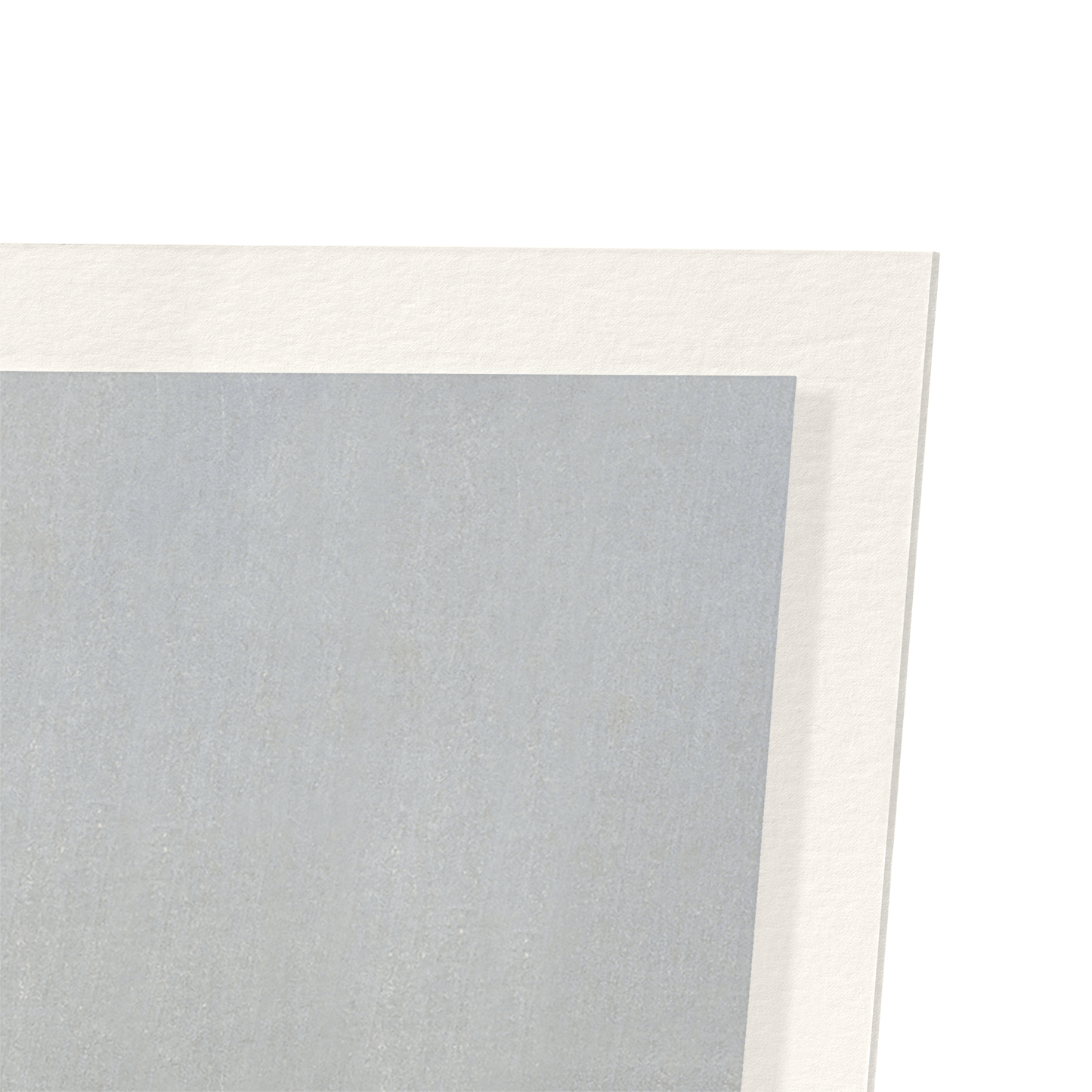 COUPLE OF CRANES: Japanese Art Print
