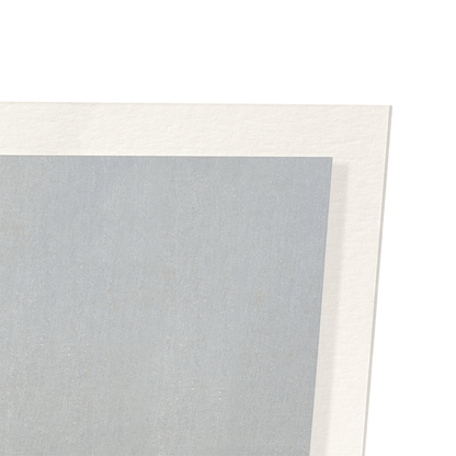 COUPLE OF CRANES: Japanese Art Print