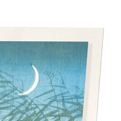 EGRETS AND CRESCENT MOON: Japanese Art Print