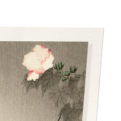 STONECHAT BIRD: Japanese Art Print