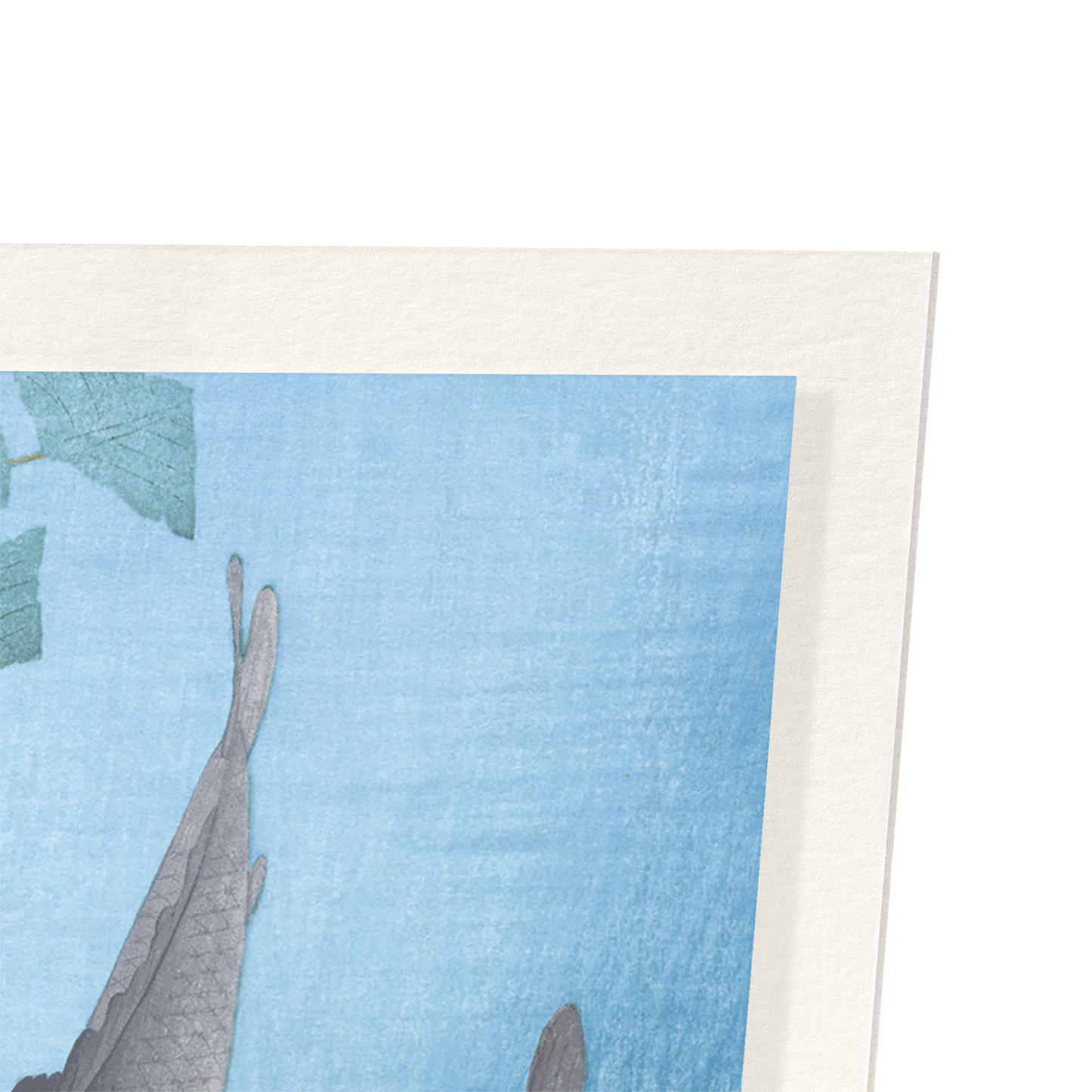 COUPLE OF CARPS: Japanese Art Print