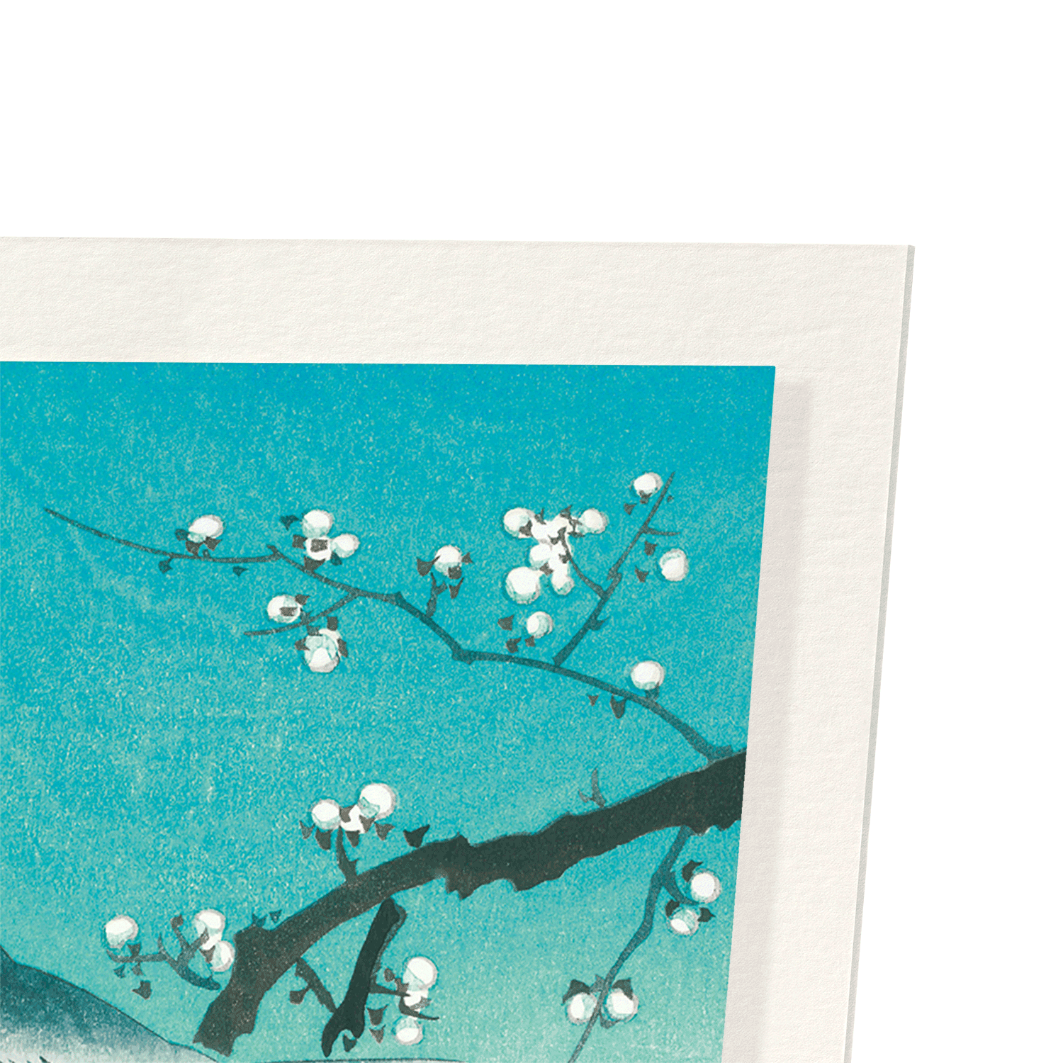 BUSH WARBLER AND PLUM BLOSSOMS: Japanese Art Print