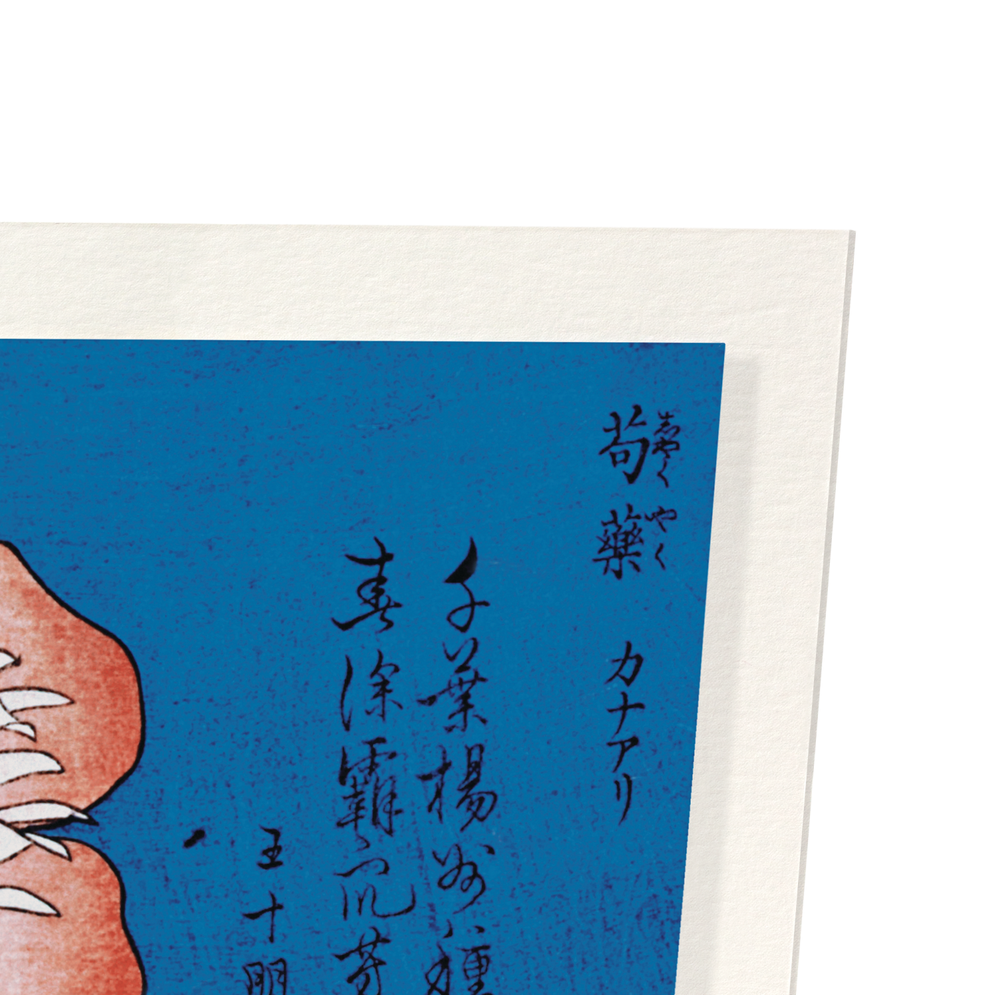 PEONIES AND CANARY (C.1834): Japanese Art Print