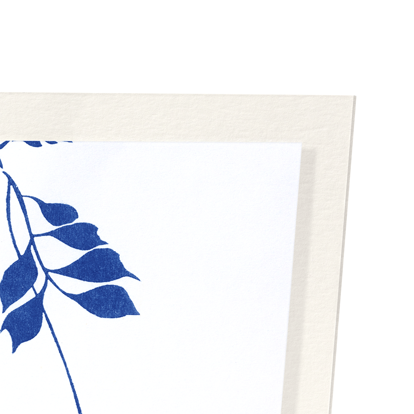 RED BUTTERFLY AND WISTERIA: Japanese Art Print