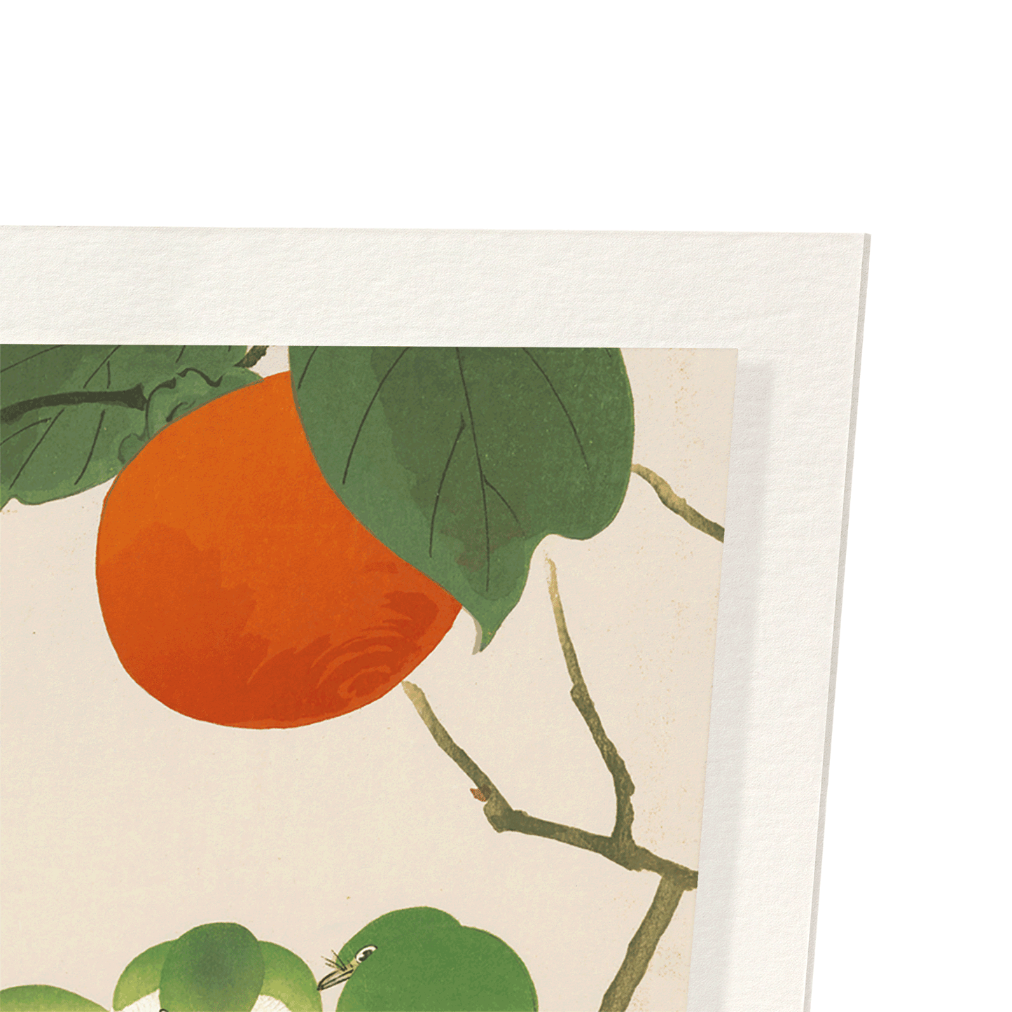WHITE-EYE BIRDS AND PERSIMMON FRUITS: Japanese Art Print