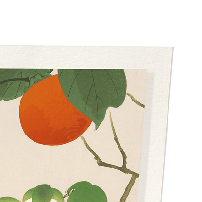WHITE-EYE BIRDS AND PERSIMMON FRUITS: Japanese Art Print