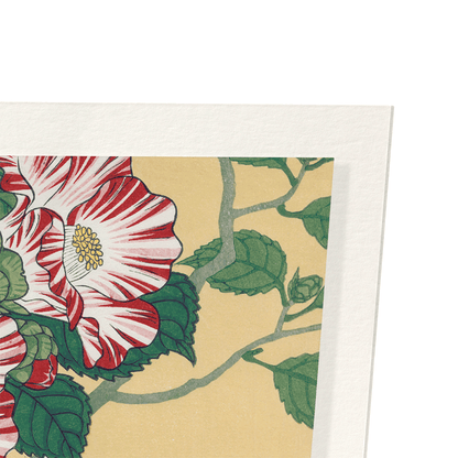 RICE BIRDS AND CAMELLIA: Japanese Art Print