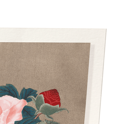 PEONIES (1900S): Japanese Art Print