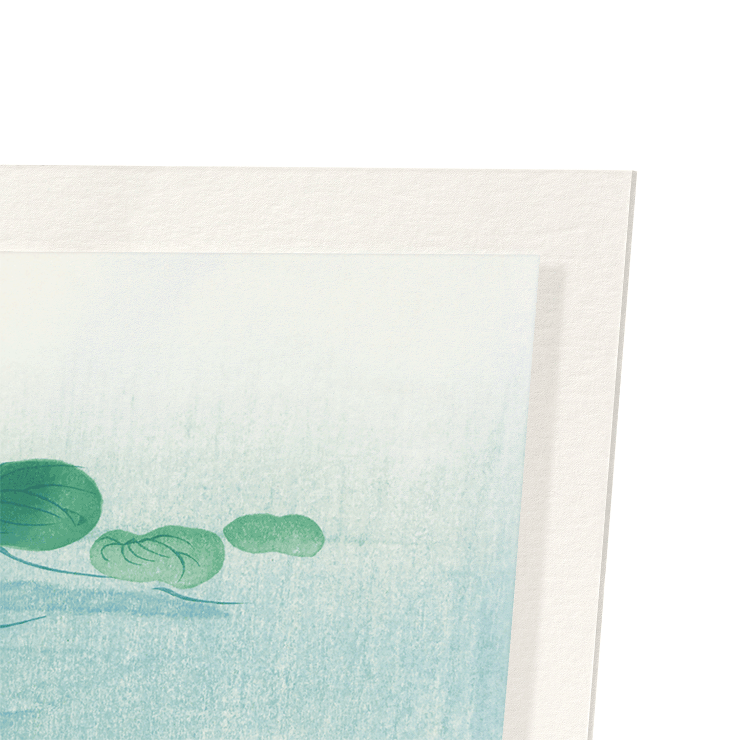 GOLDFISH (C.1910): Japanese Art Print