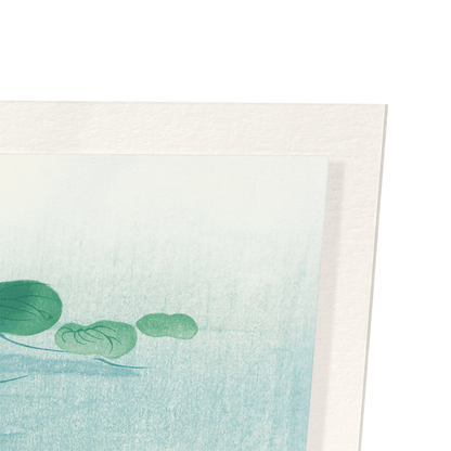 GOLDFISH (C.1910): Japanese Art Print