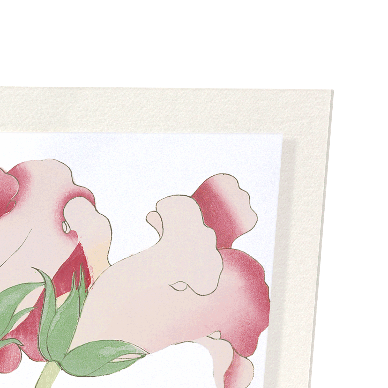 GLOXINIA FLOWER (C.1910): Japanese Art Print